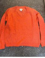 Trui saint tropez maat s, Saint Tropez, Ophalen of Verzenden, Zo goed als nieuw, Maat 36 (S)