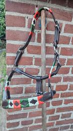 Super mooi leren halster maar A/B pony of shetlander, Ophalen of Verzenden, Nieuw, Overige soorten