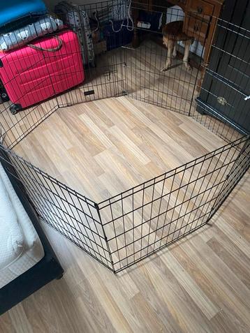 Kitten ren.    Puppyren.   1 keer gebruijt. Als nieuw beschikbaar voor biedingen