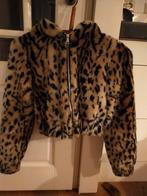 Panterprint jasje, maat S, zgan., Ophalen of Verzenden, Zo goed als nieuw, Maat 36 (S), Overige kleuren