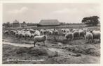 heerde   schaapskooi met kudde, Verzenden, 1940 tot 1960, Gelopen, Gelderland