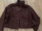 Dames winter jas Maat 40 en XXL, Ophalen of Verzenden, Zo goed als nieuw, Maat 38/40 (M)