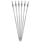 Glasvezel Pijlen Set / Boogschieten Pijl En Boog Hangboog, Verzenden, Nieuw, Pijlen