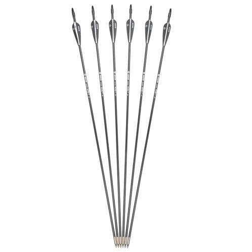 Glasvezel Pijlen Set / Boogschieten Pijl En Boog Hangboog, Sport en Fitness, Handboogschieten, Nieuw, Pijlen, Verzenden