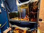 Kweekstelling diverse aquaria, aquarium + alle toebehoren, Dieren en Toebehoren, Ophalen, Gebruikt