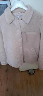 Teddy jas, Maat 38/40 (M), Beige, Ophalen of Verzenden, Zo goed als nieuw