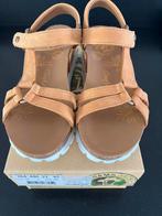 Panama jack sandalen leer maat 39 nieuw, Beige, Nieuw, Panama Jack, Sandalen of Muiltjes