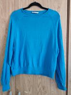 Blauwe trui Sissy-boy maat L, Blauw, Maat 42/44 (L), Sissy-Boy, Ophalen of Verzenden