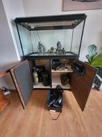 Aquarium 100x50x50 cm, Dieren en Toebehoren, Vissen | Aquaria en Toebehoren, Ophalen