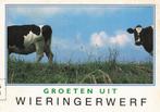 Groeten uit Wieringerwerf, Verzamelen, Ansichtkaarten | Nederland, Ophalen of Verzenden, 1980 tot heden, Gelopen, Noord-Holland
