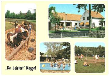 909670 Roggel Limburg Camping de Leistert Gelopen met zegel beschikbaar voor biedingen
