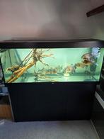 School van 9 roodbuik Piranha's 20-25cm, Dieren en Toebehoren, Vissen | Aquaria en Toebehoren, Ophalen, Zo goed als nieuw