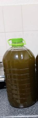 Pure olijfolie, Overige kleuren, Ophalen of Verzenden, Minder dan 50 cm, Glas