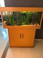 zoetwater juwel aquarium, Ophalen, Gebruikt, Gevuld zoetwateraquarium