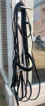 Stang en trens hoofstel merk Passier, Ophalen of Verzenden, Zo goed als nieuw, Dressuur