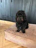 Hocker Hondenkussen of vloerkussen nubuck leer poef, Dieren en Toebehoren, Hondenmanden, Ophalen of Verzenden, Zo goed als nieuw