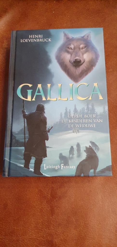 Henri Loevenbruck - De kinderen van de weduwe, Boeken, Fantasy, Gelezen, Ophalen of Verzenden