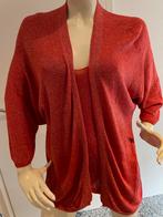 Twinset met zilver draad maat l, Kleding | Dames, Verzenden, ., Maat 42/44 (L), Zo goed als nieuw
