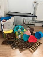 Hamsterkooi en spullen, Kooi, Nieuw, Hamster, 75 tot 110 cm