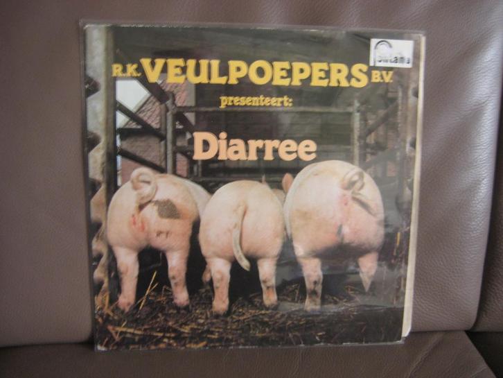 R.K. Veulpoepers B.V. – Diarree, Cd's en Dvd's, Vinyl | Nederlandstalig, Zo goed als nieuw, Pop, 12 inch, Ophalen of Verzenden