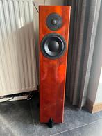 Totem forest signature, Audio, Tv en Foto, Luidsprekers, Zo goed als nieuw, 120 watt of meer, Front, Rear of Stereo speakers, Ophalen