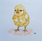 Aquarel kuiken - eigen werk - schilderij 20x20cm, Minder dan 50 cm, Nieuw, Ophalen of Verzenden, Schilderij