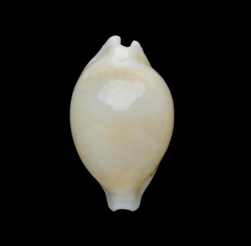 Schelpen: Cypraea mauiensis 12,1mm (Gem) Hawaï, Verzamelen, Mineralen en Fossielen, Schelp(en), Ophalen of Verzenden