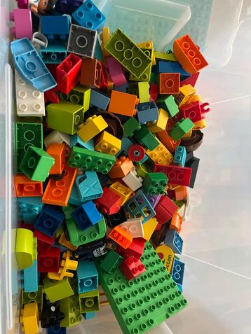 Grote bak Duplo stenen beschikbaar voor biedingen