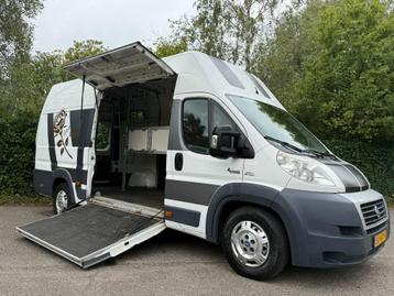 Fiat Ducato paardenwagen Horsetruck zijlader paardenbus beschikbaar voor biedingen