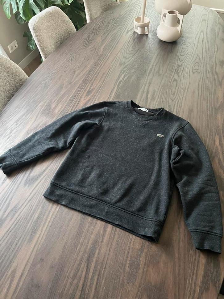 Originele Lacoste Sweater - Maat XS - Grijs - Als Nieuw!, Kleding | Heren, Truien en Vesten, Zo goed als nieuw, Maat 46 (S) of kleiner