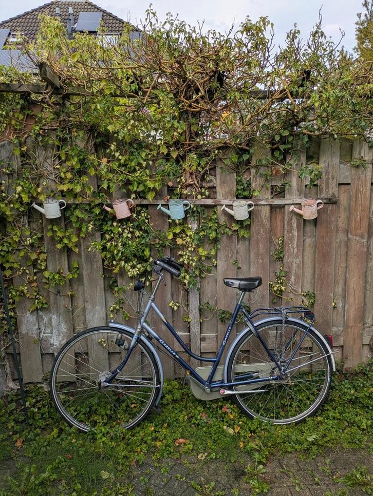 Gazelle Primeur Damesfiets - 3 Versnellingen, Fietsen en Brommers, Fietsen | Dames | Damesfietsen, Gebruikt, Gazelle, Versnellingen