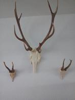 Mooie Echte Herten Geweien, Huis en Inrichting, Ophalen of Verzenden