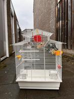 Ruim vogelhok / vogelkooi met extra accessoires, Ophalen, Zo goed als nieuw, Metaal, Vogelkooi
