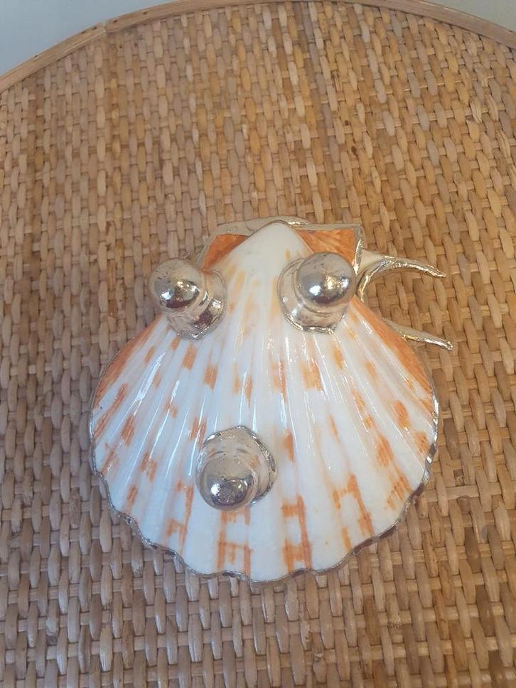 Schelp Sieraden/zeepbakje met Gouden Details, Antiek en Kunst, Antiek | Woonaccessoires, Ophalen of Verzenden