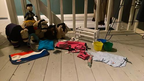 Grote crafty ponies set, Kinderen en Baby's, Speelgoed | Knuffels en Pluche, Zo goed als nieuw, Paard, Ophalen of Verzenden