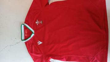 Wales rugbyshirt maat s beschikbaar voor biedingen