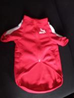 Nw 2 lekker warme honden jasjes maat L  (prijs is beide), Dieren en Toebehoren, Ophalen of Verzenden, Nieuw, Hondenjas