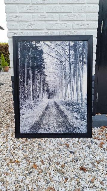 Lijst met afbeelding
Pad in het bos
Zwart Wit
 beschikbaar voor biedingen