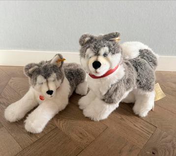 Steiff Molly Husky hond 2x. Original beschikbaar voor biedingen
