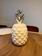 Ananas Potje - Decoratief & Handig!, Ophalen
