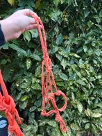 2x Touwhalsters mini Shetland, Dieren en Toebehoren, Ophalen of Verzenden, Zo goed als nieuw, Overige soorten