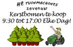 Kerstbomen  Te koop!, Tuin en Terras, Ophalen, Zomer, Volle zon, Overige soorten