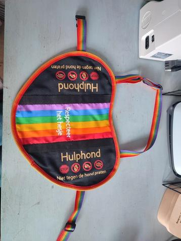 (Hulp)hond hesje beschikbaar voor biedingen