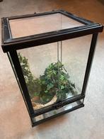 TerrAtlantis terrarium 30x30x45cm, Dieren en Toebehoren, Ophalen, Zo goed als nieuw
