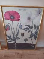 Botanische prenten in gouden lijsten, Ophalen of Verzenden