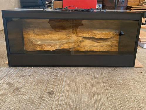 Terrarium met woestijn achterwand 120x50x50, Dieren en Toebehoren, Reptielen en Amfibieën | Toebehoren, Gebruikt, Terrarium of Paludarium