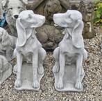 Hond van beton tuinbeeld Pointer Jachthond Weimaraner, Ophalen, Nieuw, Beton, Dierenbeeld