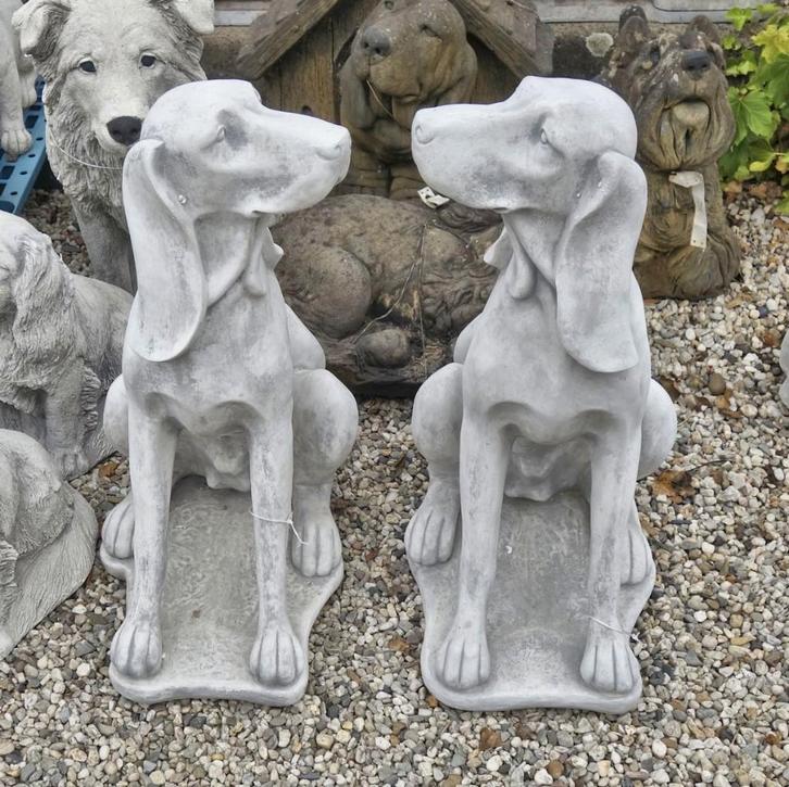 Hond van beton tuinbeeld Pointer Jachthond Weimaraner, Tuin en Terras, Tuinbeelden, Nieuw, Dierenbeeld, Beton, Ophalen