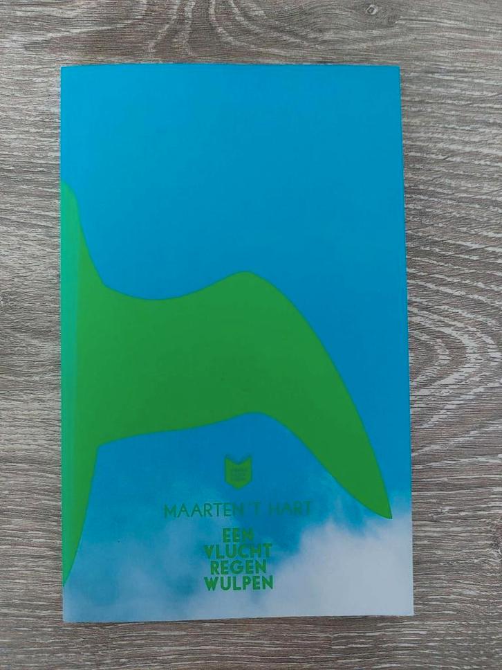 Maarten 't Hart - Een vlucht regenwulpen, Boeken, Romans, Zo goed als nieuw, Ophalen of Verzenden
