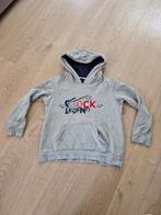 Trui maat 110/116, Kinderen en Baby's, Kinderkleding | Maat 110, Ophalen of Verzenden, Zo goed als nieuw, Jongen, Trui of Vest